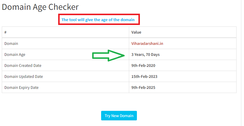 best Domain Age Checker tool