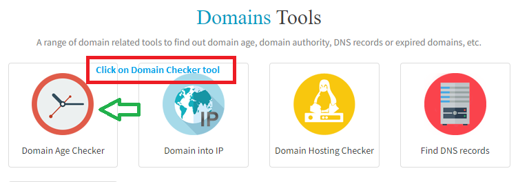 Domain Age Checker