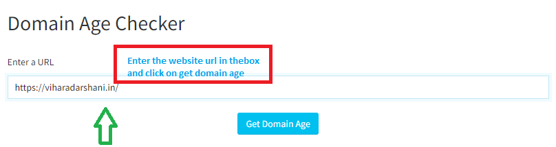 google Domain Age Checker